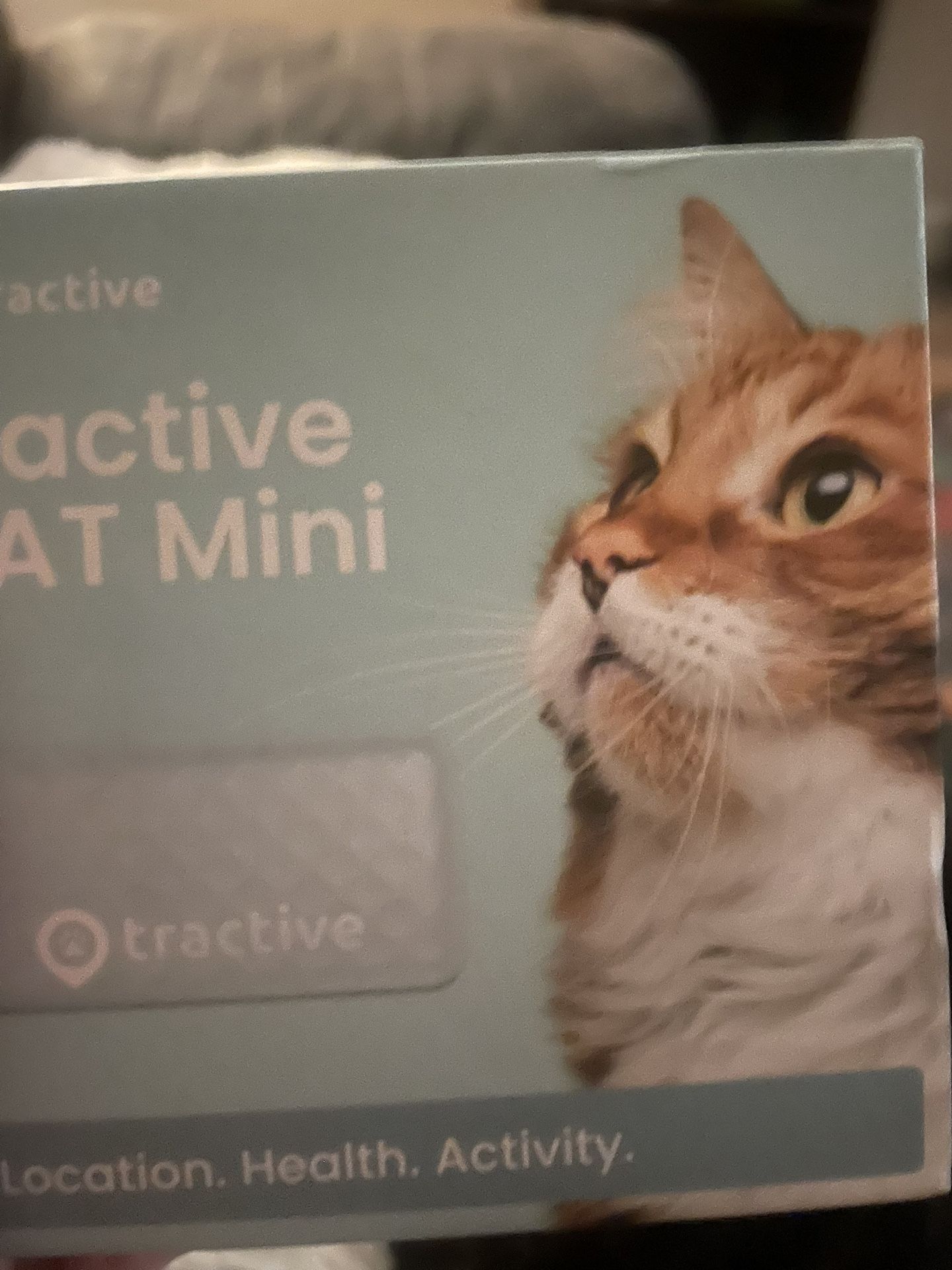 Cat tracker