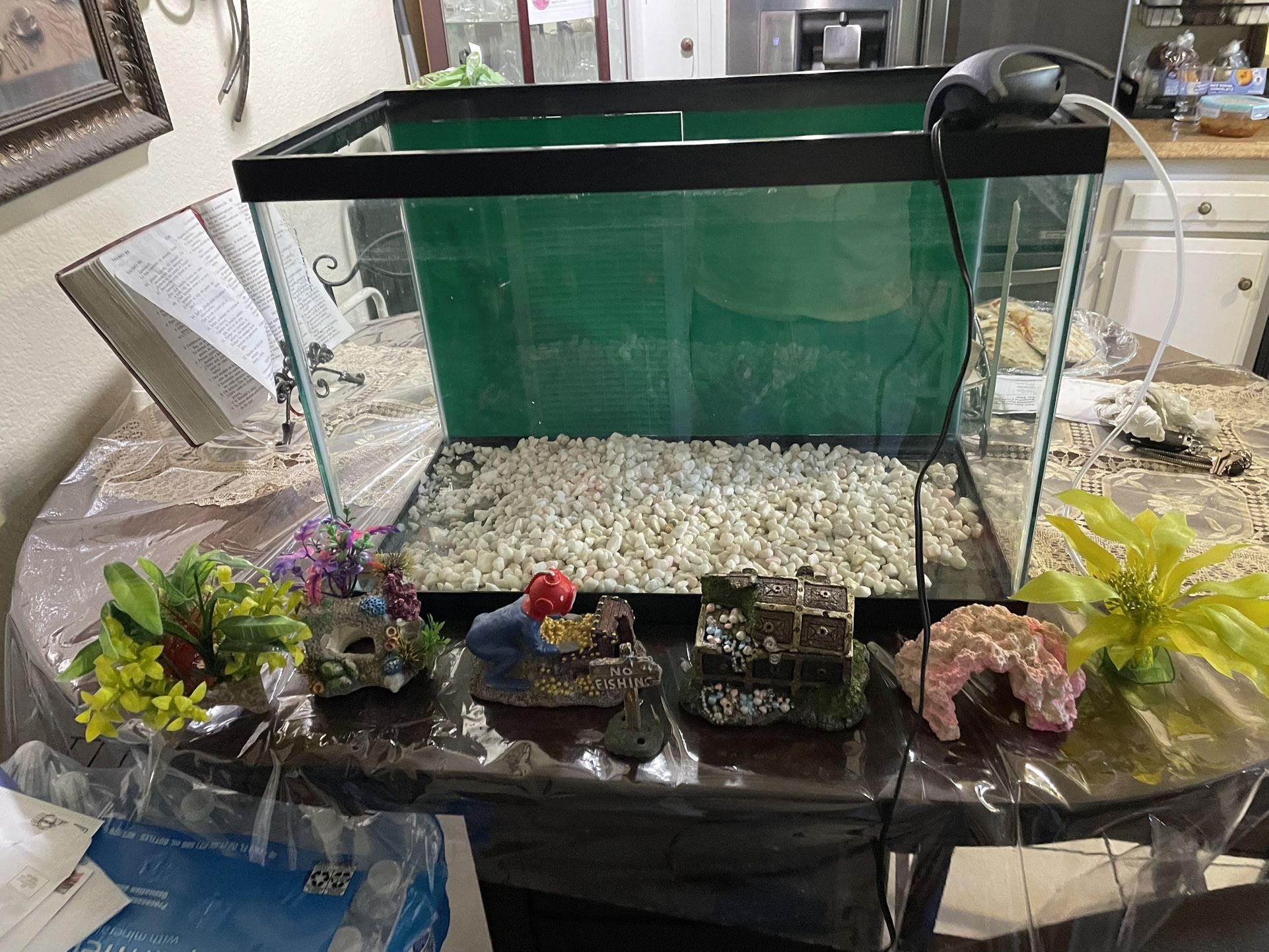 10 Gallon Fish Tank
