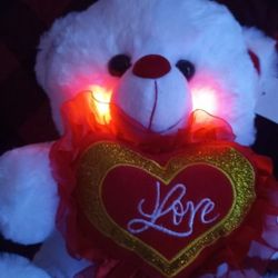 $25 Talking Teddy Bear  Valentine's Day *Smooching * Sound* & Said ILOVE YOU