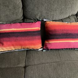 Indoor/ Outdoor Pillows 