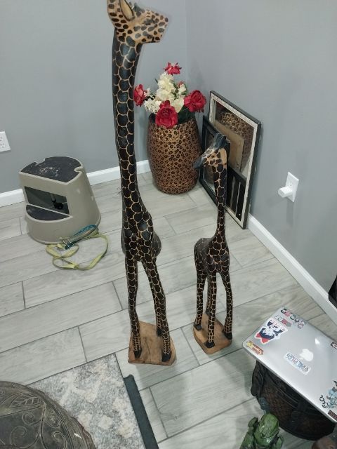 Giraffe’s