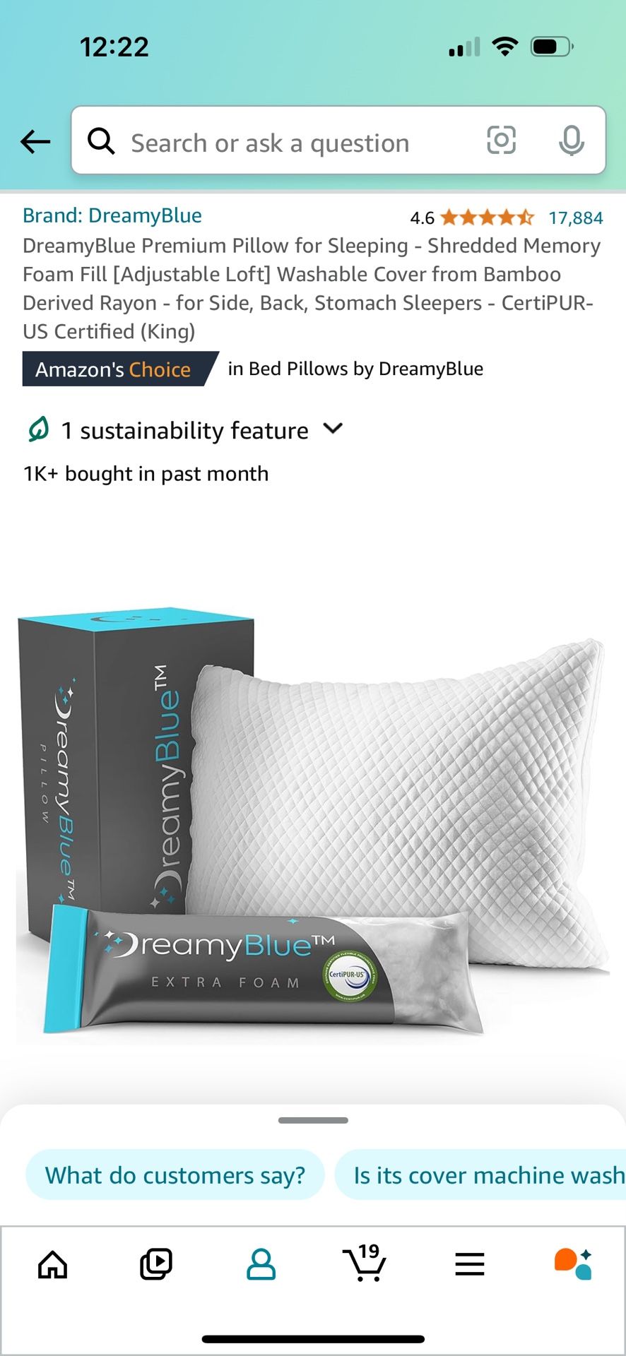 DreamyBlue King Pillows