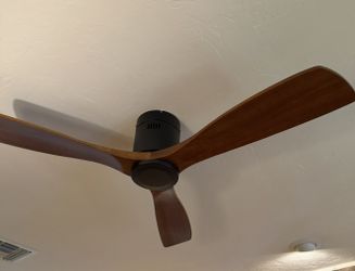 Fans