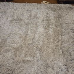 Safavieh Venice shag rug 6 x 6 non smoking and no pet home 
