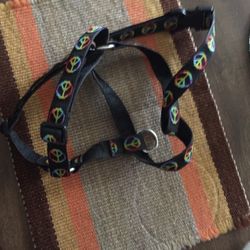 Lupine Brand Dog Harness.