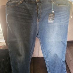 Woman's New Plus Size 