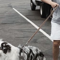 Comfortable Lightweight Leather Dog Leash 