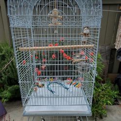 Large bird cage