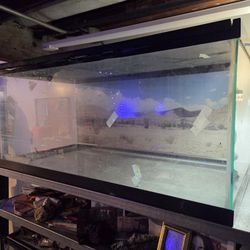 Aquarium