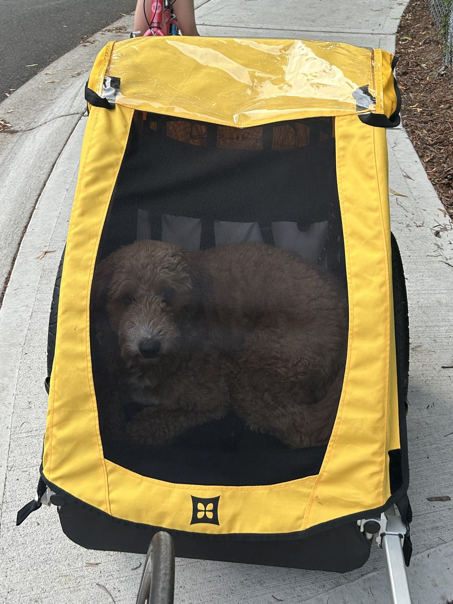 Burley Bee Bike Trailer