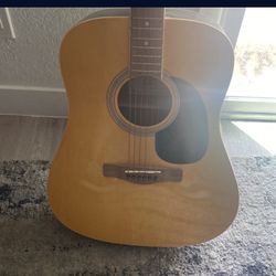 Rogue Acoustic Guitar 