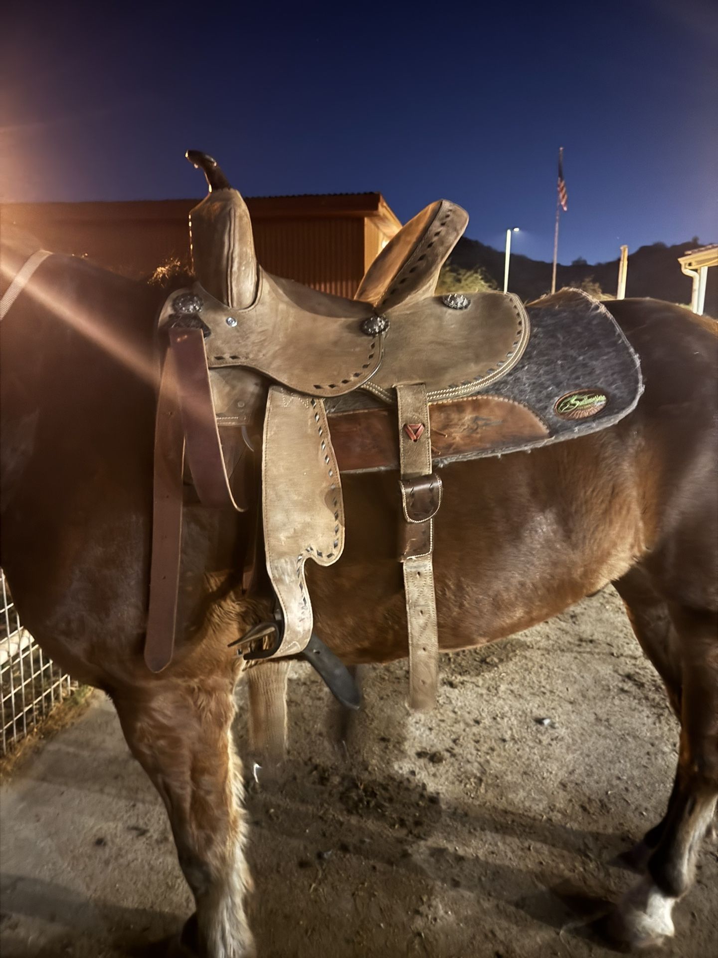 Saddle