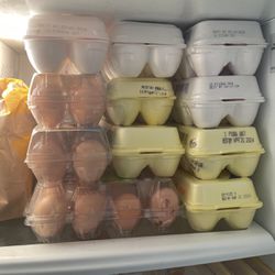 Organic Eggs , Huevos Orgánicos 