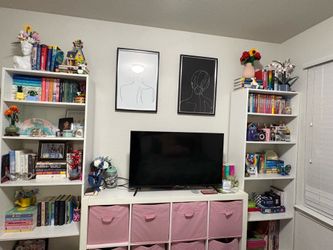 *!!NOT FREE PLEASE READ DESCRIPTION!!*2 Bookshelves, 1 cubicle, 40inch tv, 2 pictures