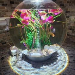 biOrb Classic 30 Aquarium - 8 Gallon