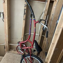 Adam’s Folder Trail-a-Bike