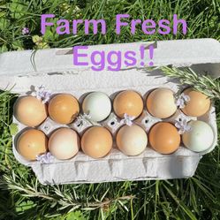 Farm Fresh Eggs!!