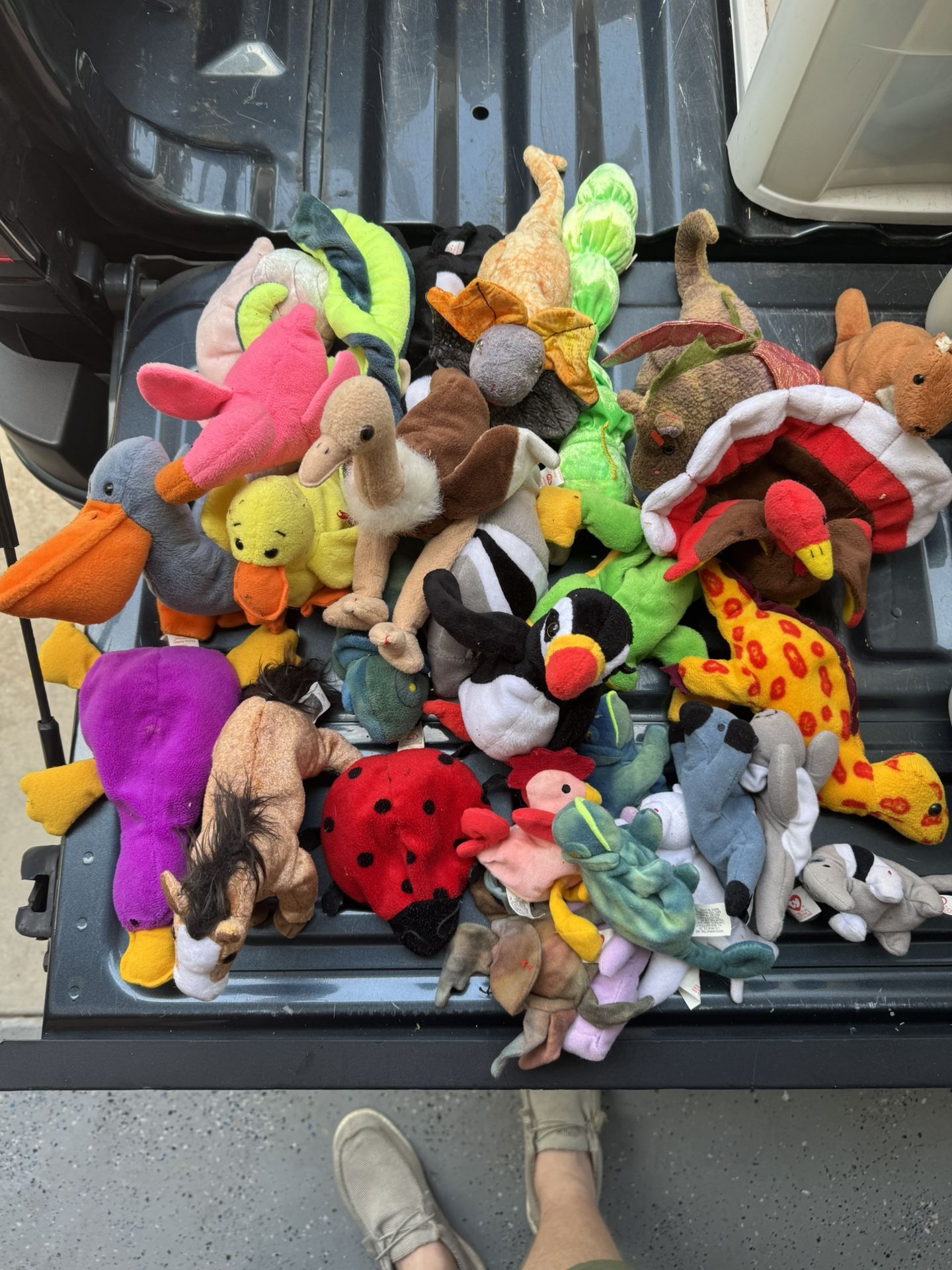 Beanie Babies