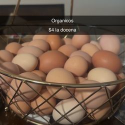 Huevos orgánicos