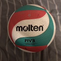 Molten Volleyballs