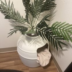 Cat plant litter-box 