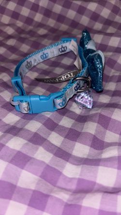 Cinderella dog collar