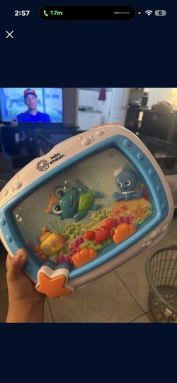 Baby Toy, Brand New With Battery’s Included $20