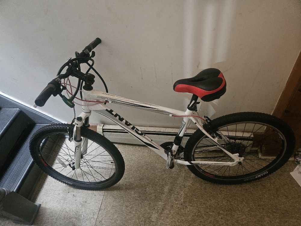 Bicycle ( Giant Brand)