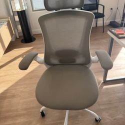 Office Chairs