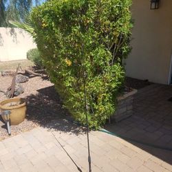 Bass Pro Crappie rod