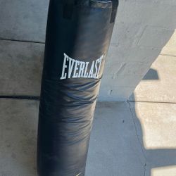 Everlast Bag 