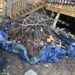 FREE Kindling & Firewood – Cut Your Own