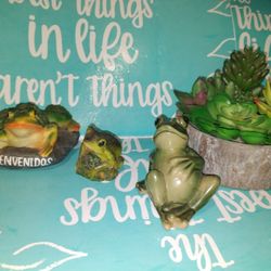 Frog Decor