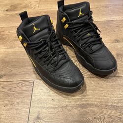 Jordan 12 