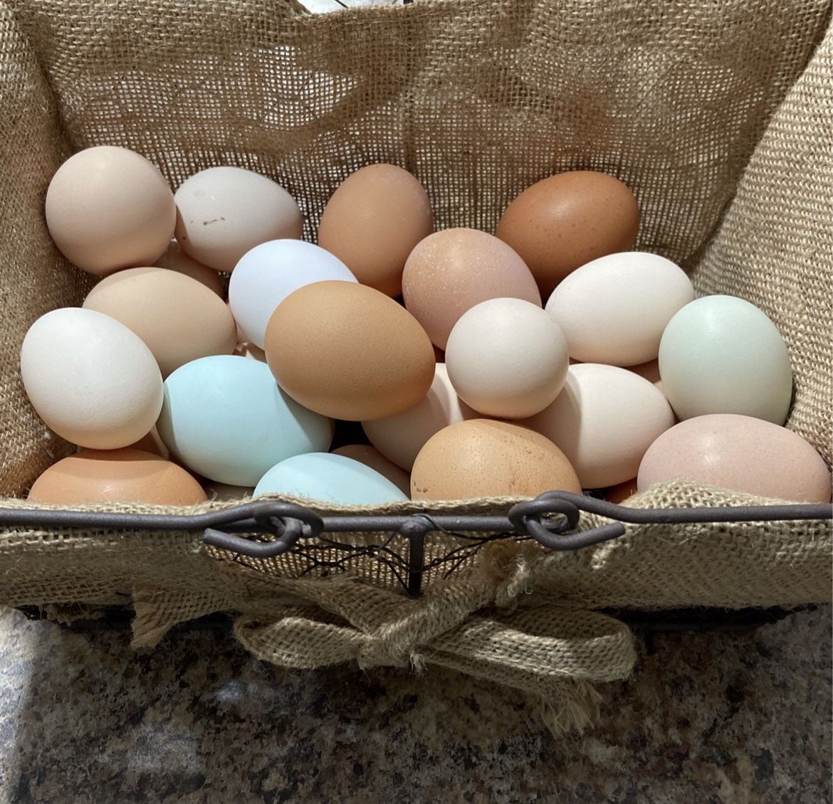 Fresh Eggs 