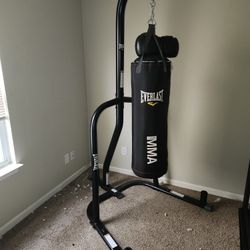 Everlast Punching Bag