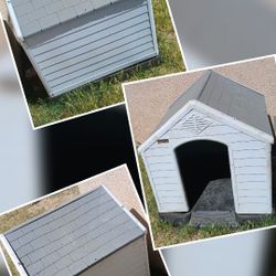 Dog House 