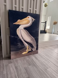 Extra large American White Pelican Canvas Wall Art