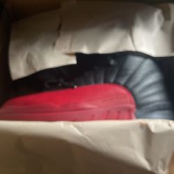Jordan’s Flu Games 12s