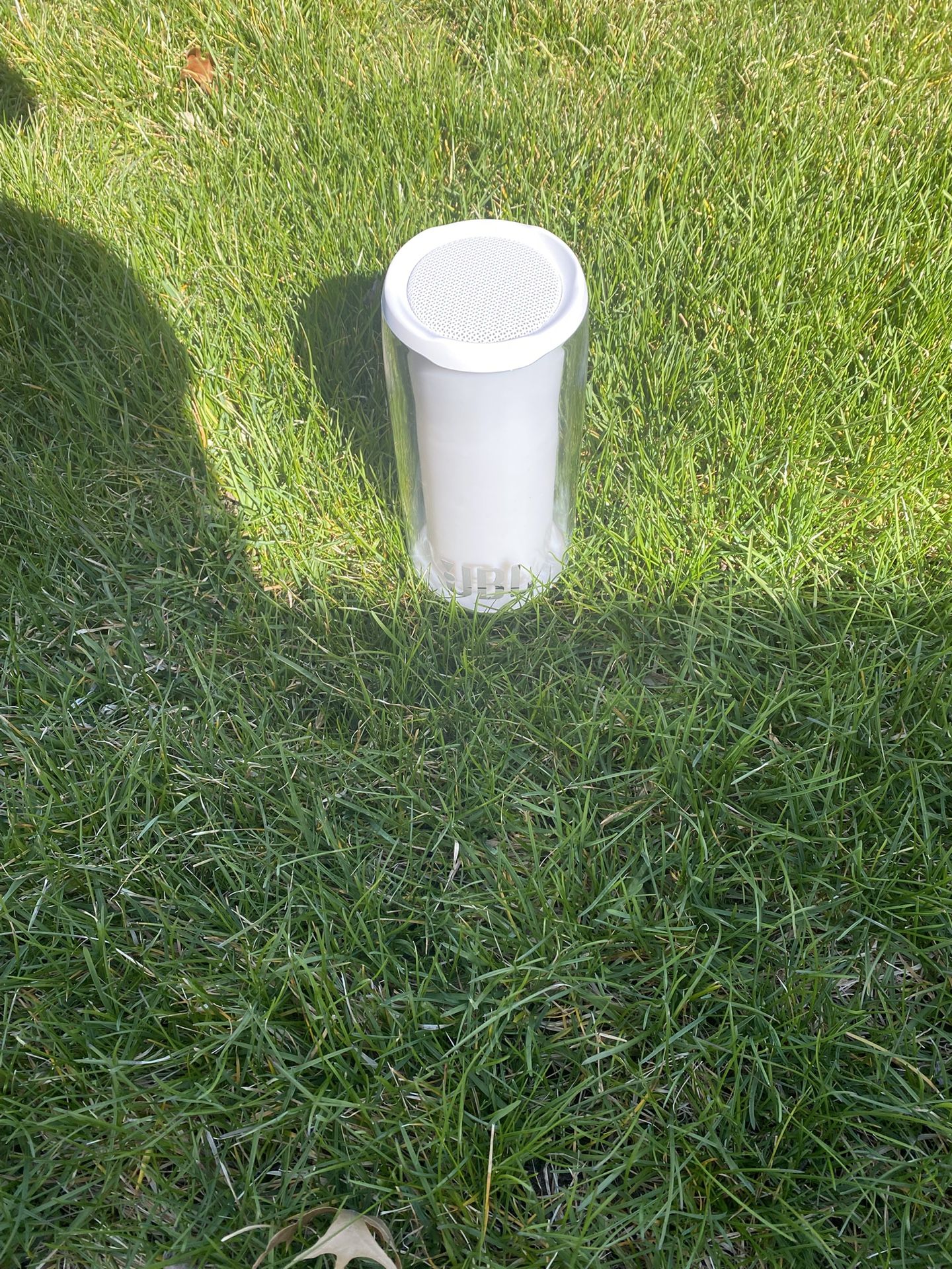 Jbl Pulse 5 (clean with box If needed)