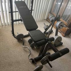 Sandinrayli Lifting Bench w/ weight stand 