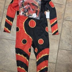 Miraculous dragonbug costume 