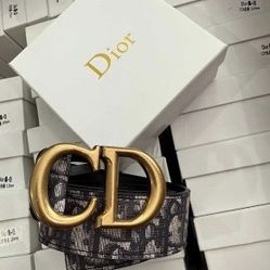Dior Belt 1of1