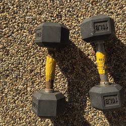 10lbs Dumbbells 