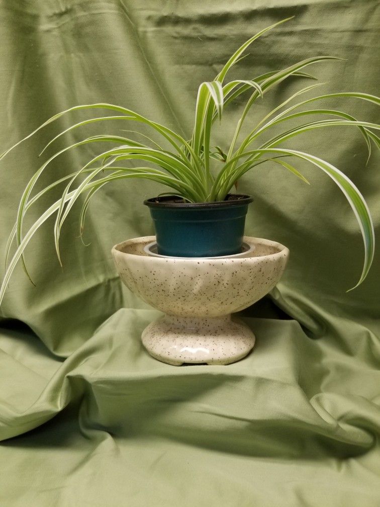 Vintage Houseplant Pot