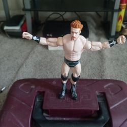2010 Mattel WWE Sheamus wrestling action figure