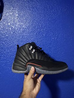 Jordan 12s DS