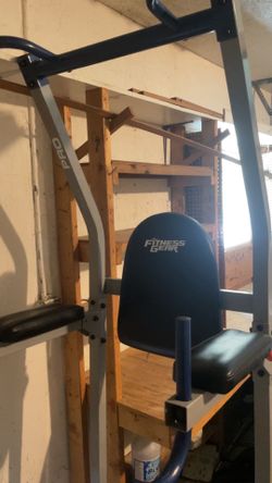 Fitness Gear Pro PT 600 Power Tower - $120
