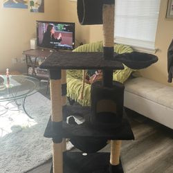 Cat Tree