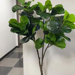 Simulation green plants
